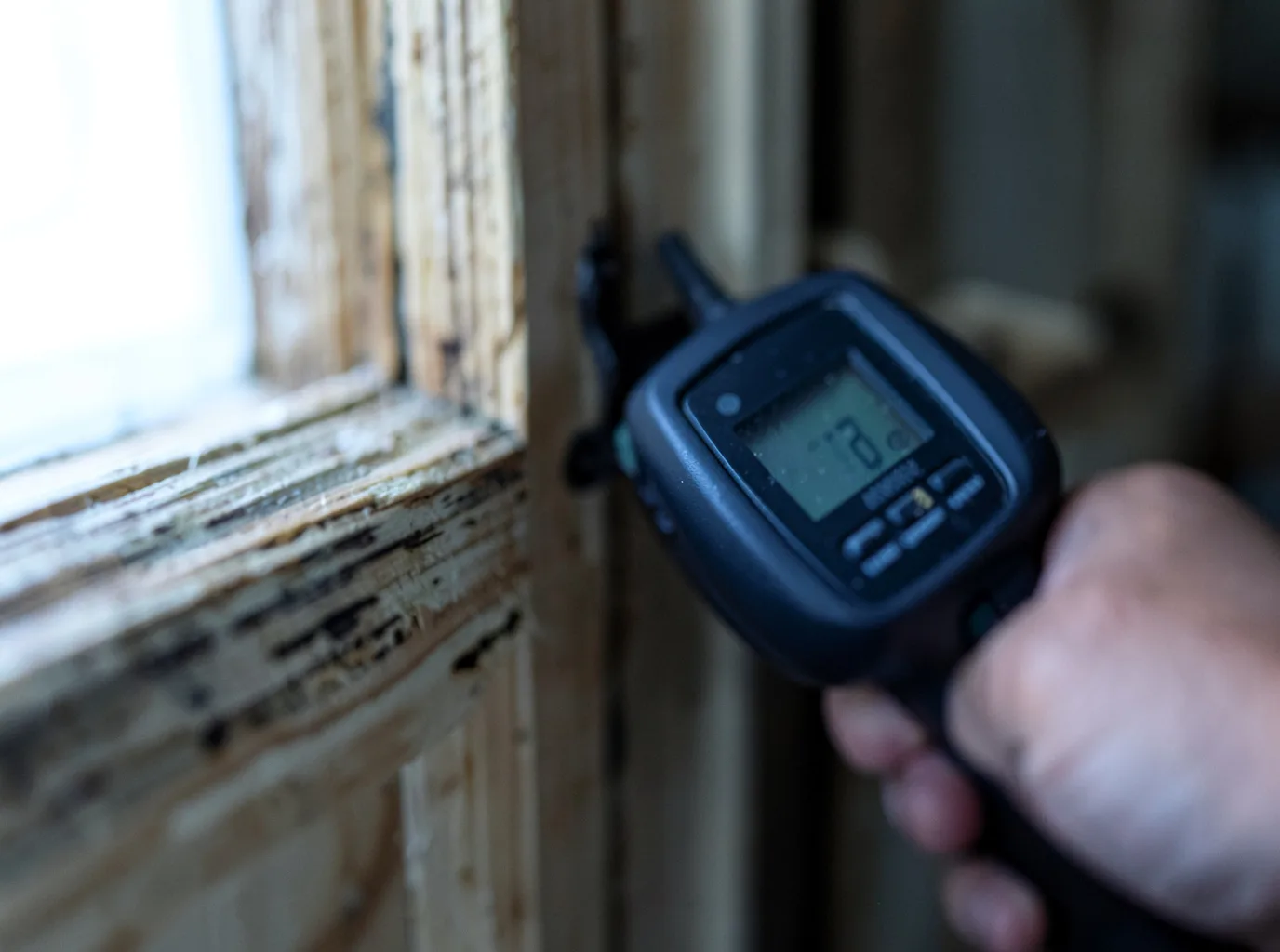 Moisture Inspection And Documentation in Apulia Station, NY